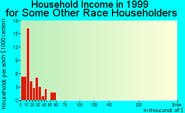 McMinnville household income for some other race householders