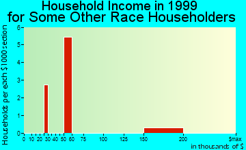New Market household income for some other race householders