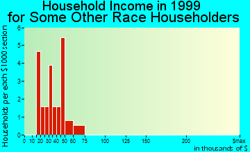 Blanco household income for some other race householders