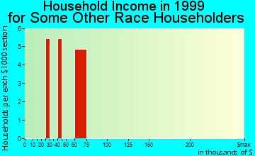 Bridge City household income for some other race householders