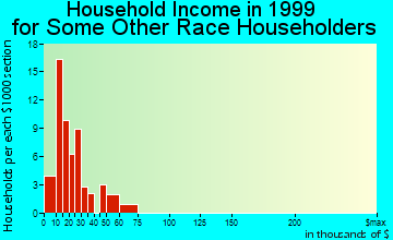 Childress household income for some other race householders