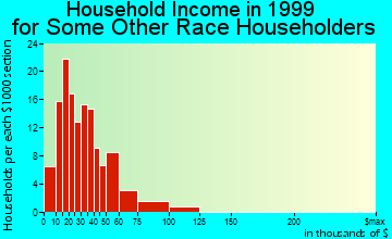 Clute household income for some other race householders