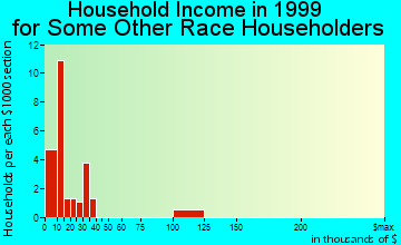 Coleman household income for some other race householders