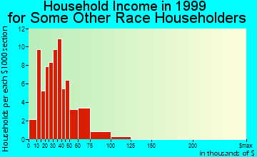 Copperas Cove household income for some other race householders