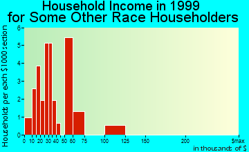 Dripping Springs household income for some other race householders