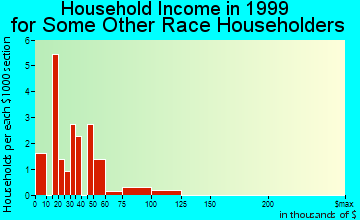Holiday Lakes household income for some other race householders
