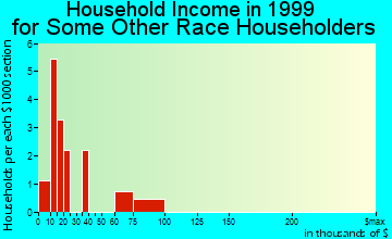 Leonard household income for some other race householders