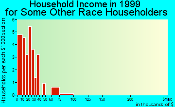 Loraine household income for some other race householders