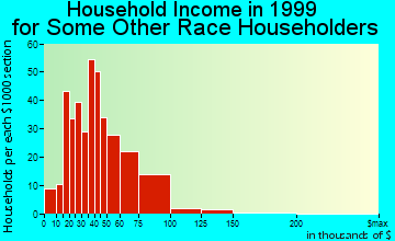 Mesquite household income for some other race householders