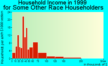 Richardson household income for some other race householders