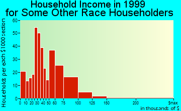 Round Rock household income for some other race householders