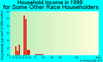 Seabrook household income for some other race householders