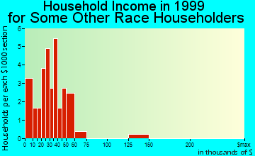 Somerville household income for some other race householders