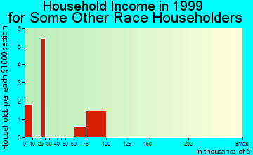 Trenton household income for some other race householders