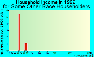 Vidor household income for some other race householders