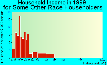 Newman household income for some other race householders