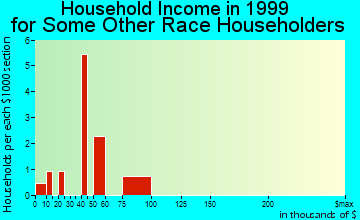 Wimberley household income for some other race householders