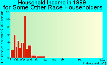 Brigham City household income for some other race householders