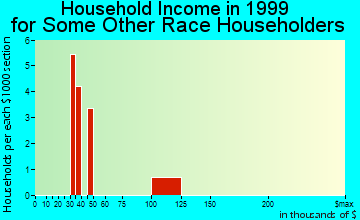 Bon Air household income for some other race householders