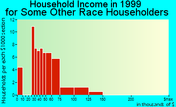 Bull Run household income for some other race householders