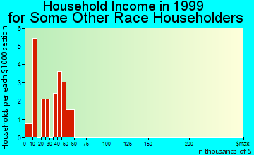 Fort Lee household income for some other race householders