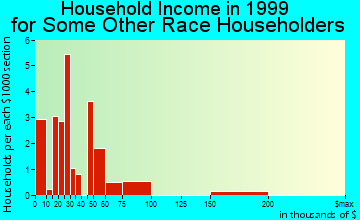 Fredericksburg household income for some other race householders
