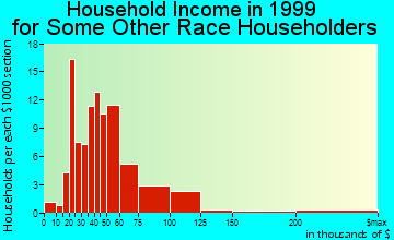 Reston household income for some other race householders
