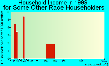 Battle Ground household income for some other race householders