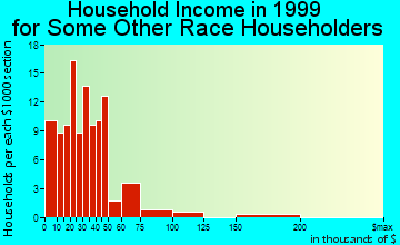 Bellingham household income for some other race householders