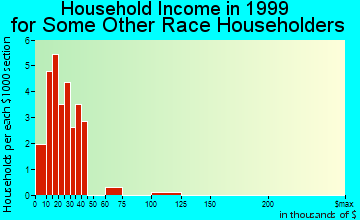 Bridgeport household income for some other race householders