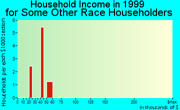 Clarkston household income for some other race householders