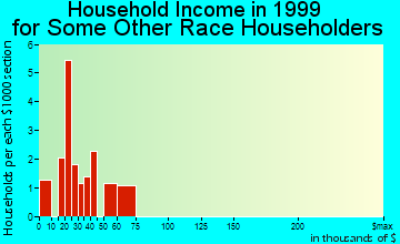 Ferndale household income for some other race householders