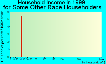 Hockinson household income for some other race householders
