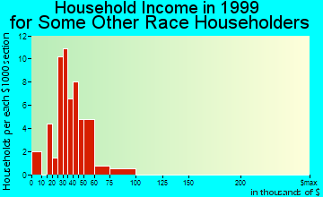 Lacey household income for some other race householders