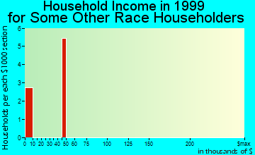 Ocean Shores household income for some other race householders