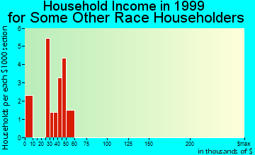 West Valley household income for some other race householders