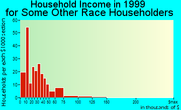 San Luis Obispo household income for some other race householders