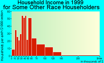 San Mateo household income for some other race householders