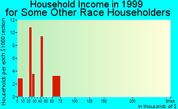 San Miguel household income for some other race householders