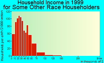Santa Maria household income for some other race householders