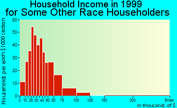 Stanton household income for some other race householders