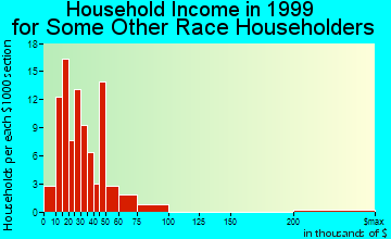 West Modesto household income for some other race householders