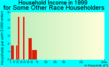 Akron household income for some other race householders