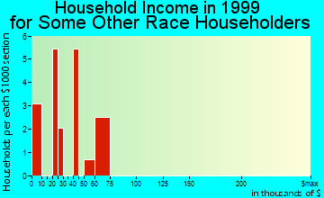 Basalt household income for some other race householders
