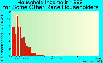 Center household income for some other race householders