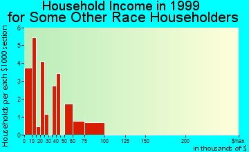Durango household income for some other race householders