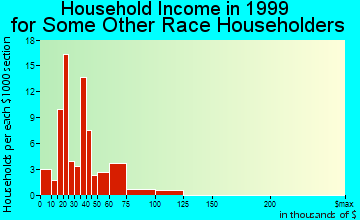 Edgewater household income for some other race householders