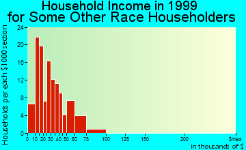 Evans household income for some other race householders