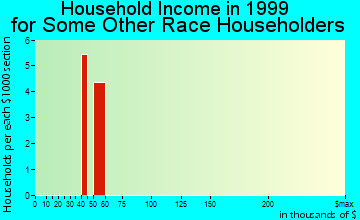 Evergreen household income for some other race householders