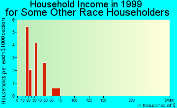 Madison household income for some other race householders